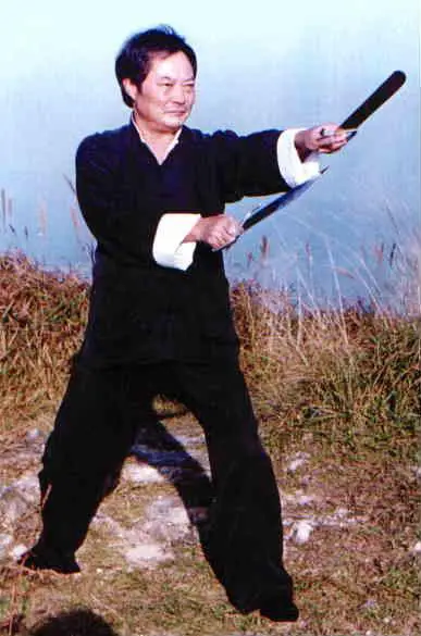Doppelmessern Wong Shun Leung Ving Tsun